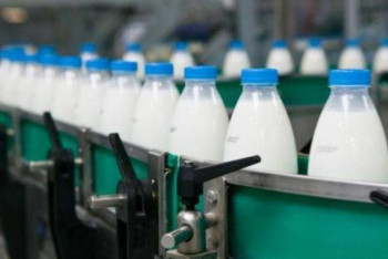 Фотография к новости: ШҚО шаруалары соңғы үш жылда сүт өндірісін еселеп өсірді