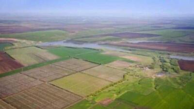 Сарыағаш ауданында 766 гектар жер мемлекет қорына қайтарылды