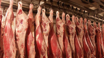 Фотография к новости: Профессор елімізде өндірілген еттің артықшылықтарын атады