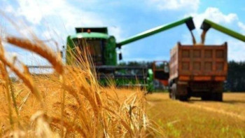 Фотография к новости: Осакаров ауданында егіс көлемі 412 мың гектарға жетпек 