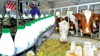 Фотография к новости: Қазақстан ет және сүт өнімдерін ірі көлемде экспорттайтын елге айналуы тиіс – Қырымбек Көшербаев