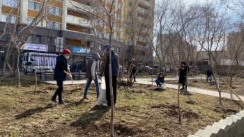 Фотография к новости: Елордалық еріктілер сенбілік өткізді