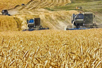 Фотография к новости: Биыл Шығыс Қазақстанда егіс алқаптарының көлемі артады