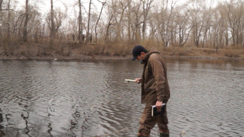 Фотография к новости: Павлодар облысында шыбын-шіркеймен күреске 1,5 млрд теңге бөлінеді