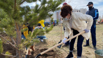 Фотография к новости: «Киелі табиғат» жобасы ел жастарының экологиялық сауатын көтеруді көздейді - Балаева