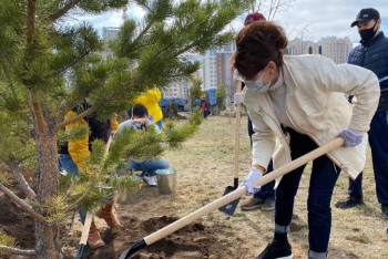 Фотография к новости: «Киелі табиғат» жобасы ел жастарының экологиялық сауатын көтеруді көздейді - Балаева