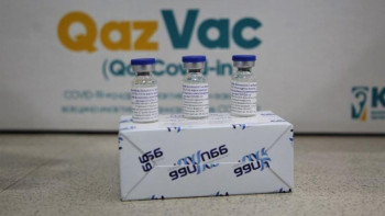 Фотография к новости: Отандық вакцинаның тиімділігі жоғары - профессор