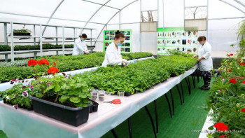 Фотография к новости: «Бала тегін білім алуы керек». Нарықтағы сұранысқа ие мамандарды оқытатын мекеме