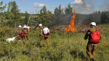 Фотография к новости: Биыл орман қорын өрттен қорғауға 40 млн теңге бөлінді