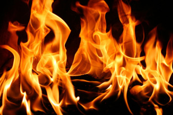 Фотография к новости: ТЖМ өртке қарсы қандай жұмыстар жүргізіп жатыр?