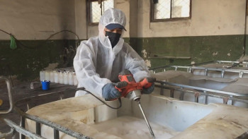 Фотография к новости: Ертіс өзені жайылымдарының 27 мыңнан астам гектары шыбын-шіркейге қарсы өңделеді