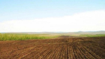 Фотография к новости: Мәжіліс жерді шетелдіктерге сатуға тыйым салынған заң жобасын қабылдады