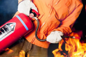 Фотография к новости: Павлодарда өрт салдарынан 5 саяжай толығымен жойылды