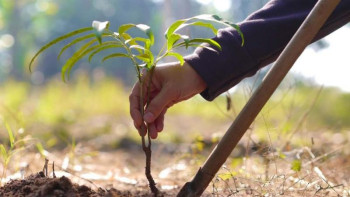 Фотография к новости: Павлодарлық жоғары оқу орындары көгалдандыру акциясына белсенді қатысуда