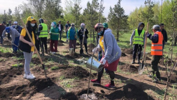 Фотография к новости:    ҚХА мүшелері алма ағаштарын отырғызды