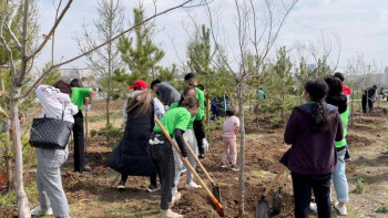 Фотография к новости: Елордада Жеңіс күніне орай «Естелік саябағы» акциясы өтті