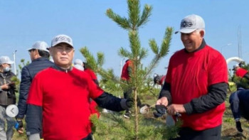 Фотография к новости: Қостанайда депутаттар 100 түп көшет отырғызды