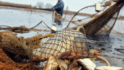 Елдің батысында заңсыз балық аулағандар анықталды