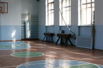 Фотография к новости: Сабақтарын музыкалық залдарда өткізуге тура келеді: Депутат спорт залы жоқ мектептер туралы айтты