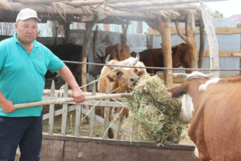 Фотография к новости: Ауылда өз кәсібін ашқысы келетіндер көп