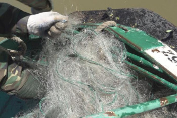 Ертіс арнасы қоқыс пен иесіз аулардан тазартылып жатыр