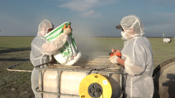 Фотография к новости: Павлодарда жайылымдық жерлер шыбын-шіркейге қарсы өңделе бастады﻿ 