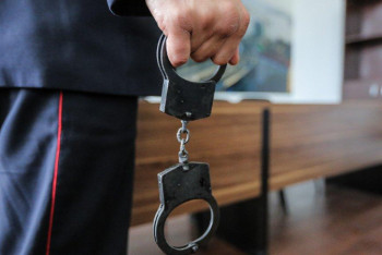 Фотография к новости: Нұрділда Ораз бір аптада қандай қылмыс жасалғанын айтты