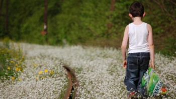 Фотография к новости: Бала жоғалған кезде не істеу керек?