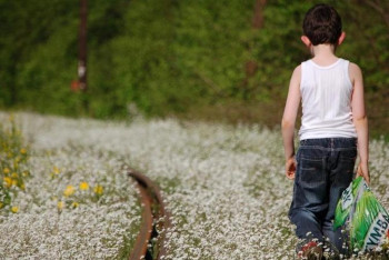 Фотография к новости: Бала жоғалған кезде не істеу керек?