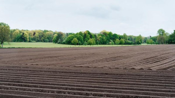 Фотография к новости: ШҚО-дағы бір ауданда диқандар егіс көлемін 300 мың гектардан асыруды көздеп отыр