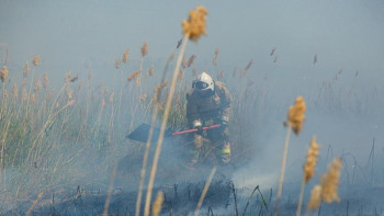 Фотография к новости: Құрғақ шөп, терек мамығы: Өрттің алдын алу үшін қандай ереже сақтау керек?