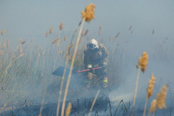 Фотография к новости: Құрғақ шөп, терек мамығы: Өрттің алдын алу үшін қандай ереже сақтау керек?