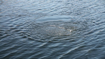 Фотография к новости: Қазақстанда апта ішінде 12 адам суға кеткен