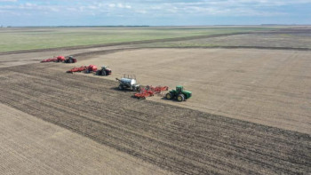 Фотография к новости: Биыл әлеуметтік маңызы бар дақылдардың алқаптары кеңейтілді