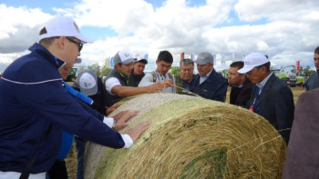 Фотография к новости: Шаруалар «Кең дала» бағдарламасының қаржысын толықтай игерді