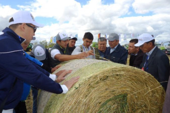 Фотография к новости: Шаруалар «Кең дала» бағдарламасының қаржысын толықтай игерді