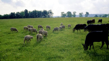 Фотография к новости: Шығыстың шалғайдағы жайылымдары инфрақұрылыммен қамтылады