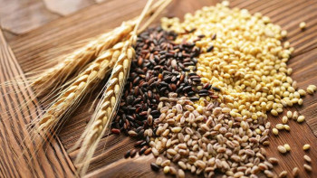 Фотография к новости: Корпорация сатып алынатын дақылдар тізімін ұлғайтты