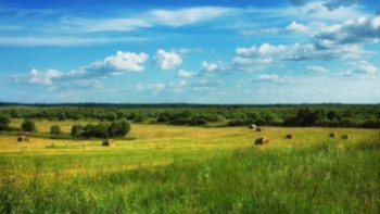 Фотография к новости: Жайылым жерлер ортақ қолданыста болады