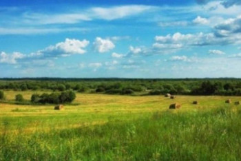 Фотография к новости: Жайылым жерлер ортақ қолданыста болады