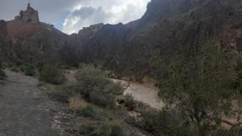 Фотография к новости: Шарында құтқарылған оқушының жағдайы тұрақты