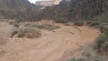 Фотография к новости: Шарын шатқалындағы қайғылы оқиға: Тергеу шаралары жүргізіліп жатыр