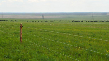 Фотография к новости: Депутат жерді 49 жылға жалға беруге қатысты пікір білдірді