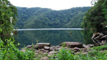 Фотография к новости: БҰҰ дабыл қақты: Экожүйелерді қалпына келтіру қажет