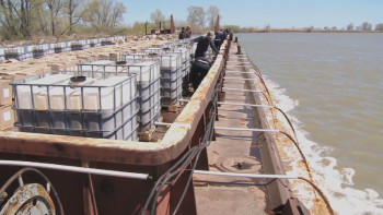 Фотография к новости: Павлодар облысында шыбын-шіркеймен күрес шаралары нәтижесін беруде