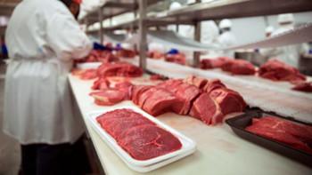 Фотография к новости: АШМ: Қазақстанда ет өндірісі өсіп келеді