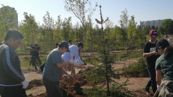 Фотография к новости: Жамбыл облысында 970 мың ағаш көшетін отырғызу жоспарлануда