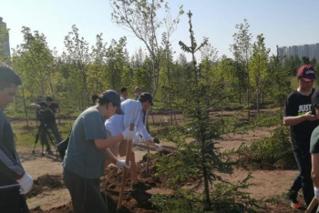 Фотография к новости: Жамбыл облысында 970 мың ағаш көшетін отырғызу жоспарлануда