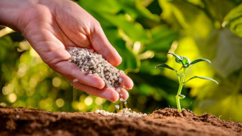 Фотография к новости: Тұқым шаруашылығын дамытуды субсидиялауға 11,7 млрд теңге бөлінді – АШМ