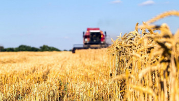 Фотография к новости: Айтарлықтай кемшілік баршылық. Депутат аграрлық саланың проблемасын айтып берді